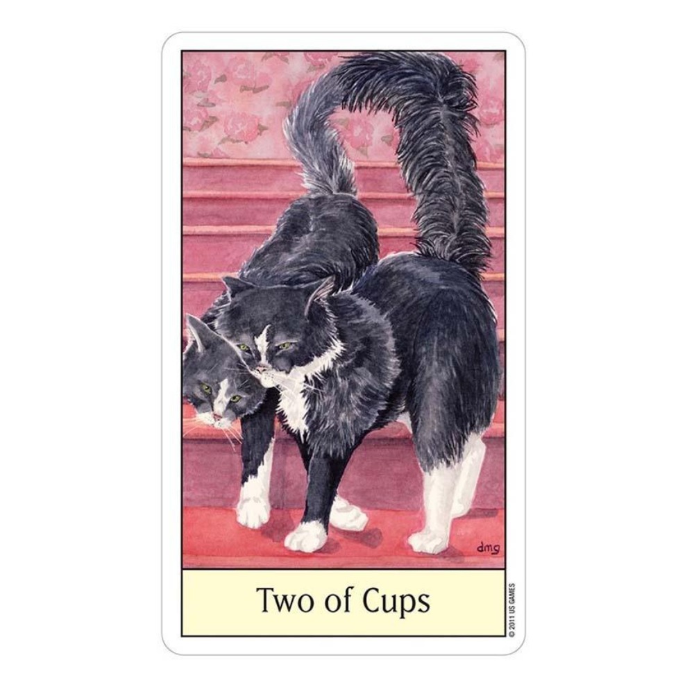 キャットアイタロットカードゲーム、12x7 cm、ゲーム - Tarot Deck With Guidebook のレビューと価格