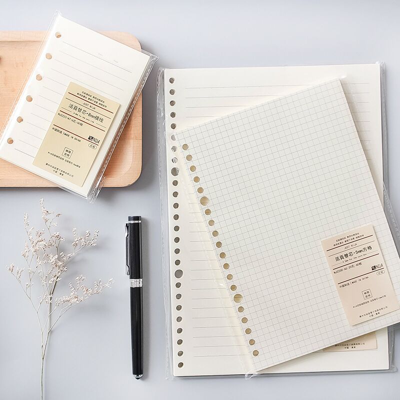 A5 b520穴ルーズリーフノートブック詰め替え60枚スパイ - A5 Spiral Dotted Grid Notebook のレビューと価格